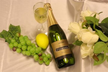 代理什麽樣的法國進口紅酒国产AV午夜福利好