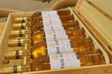 紅酒午夜小电影男人在线APP需要多少錢