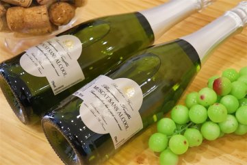 怎樣尋找紅酒貨源適合