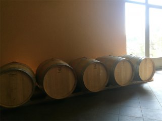 代理什麽法國紅酒的国产AV午夜福利適合